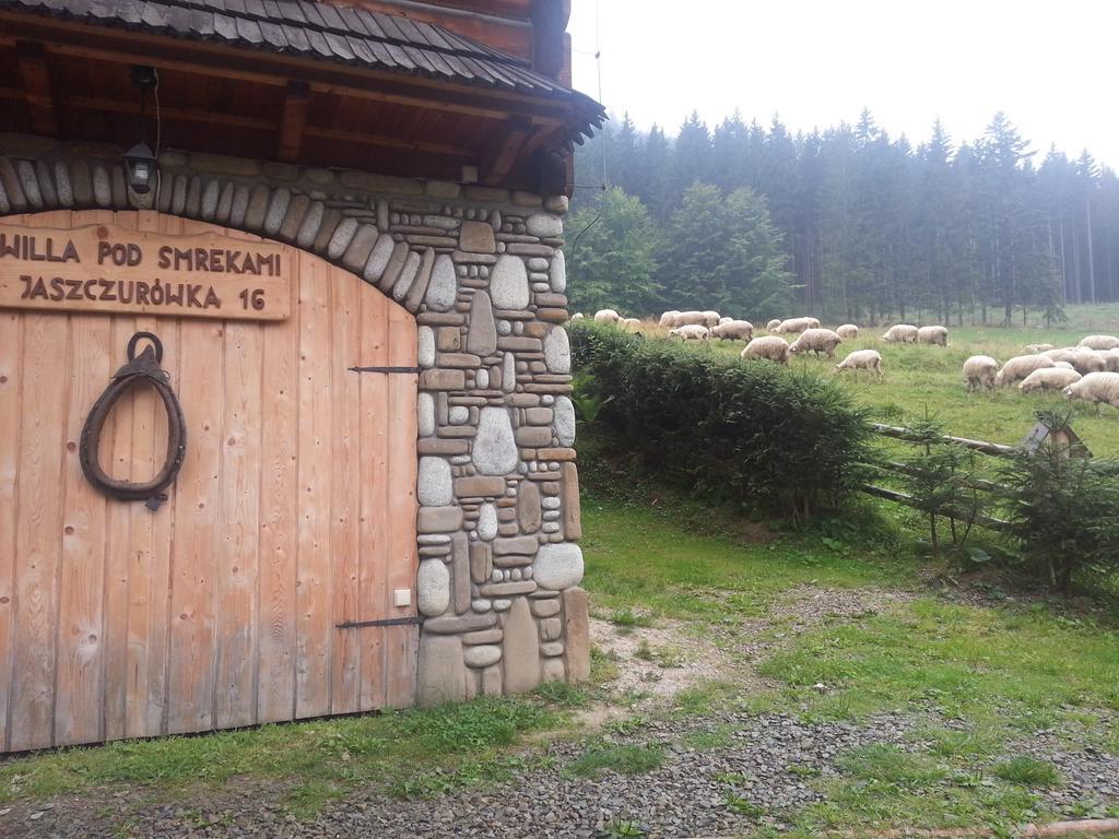 Wynajem Pokoi-Willa Pod Smrekami Zakopane Dış mekan fotoğraf