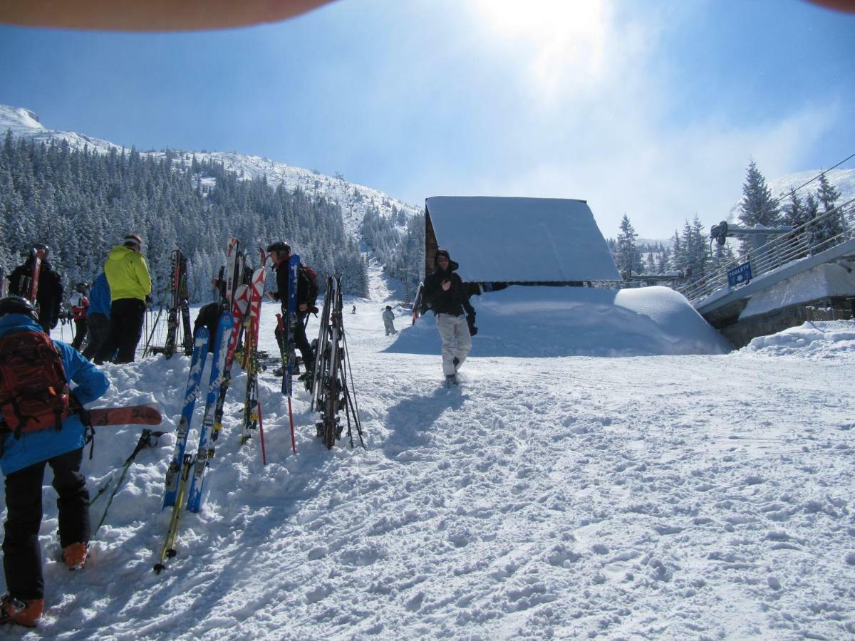 Wynajem Pokoi-Willa Pod Smrekami Zakopane Dış mekan fotoğraf